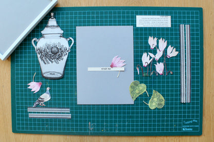 Dove and Cyclamen kit
