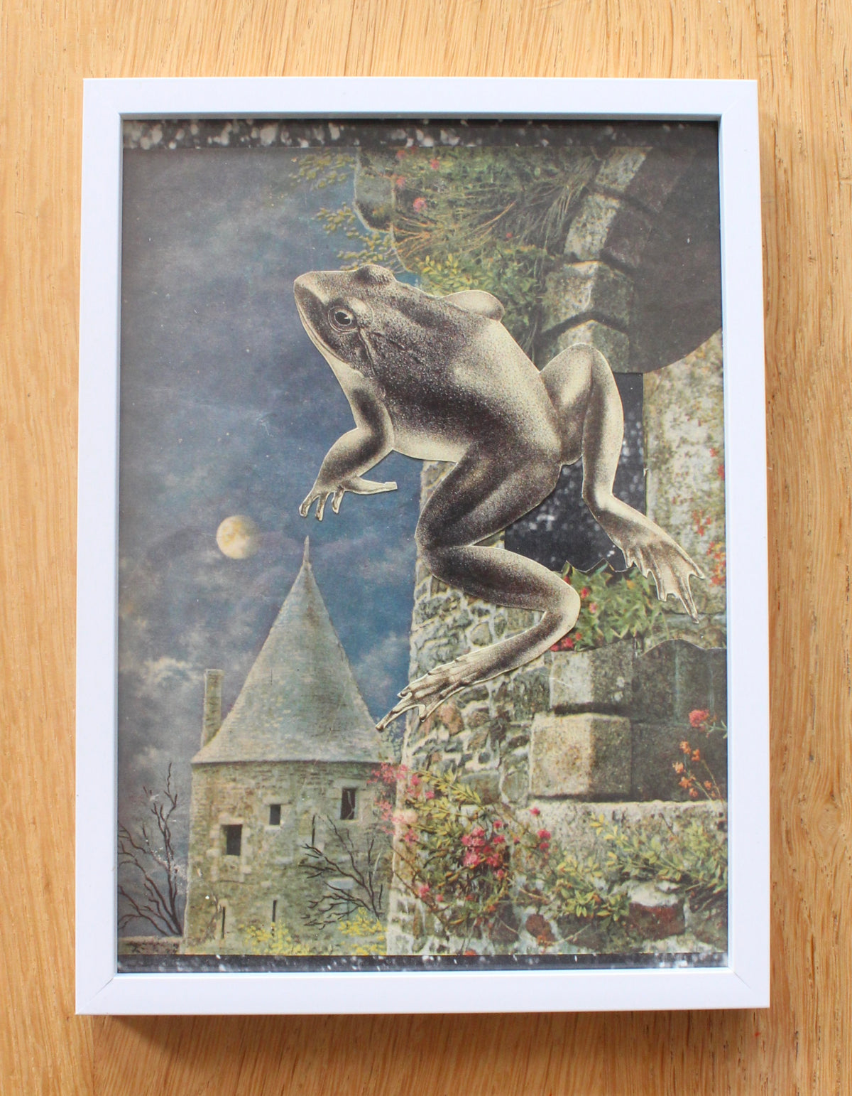 frog #1