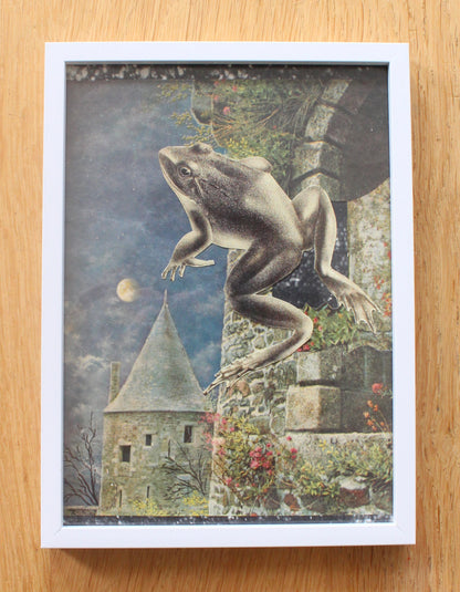 frog #1