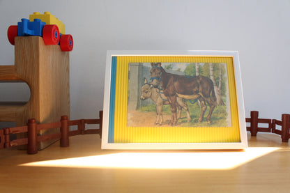 animals (donkeys)
