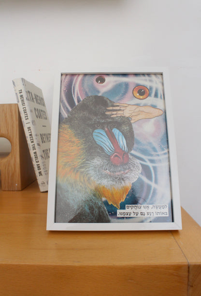 mandrill #2