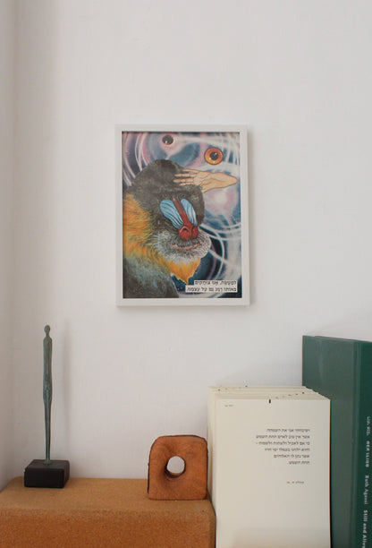 mandrill #2