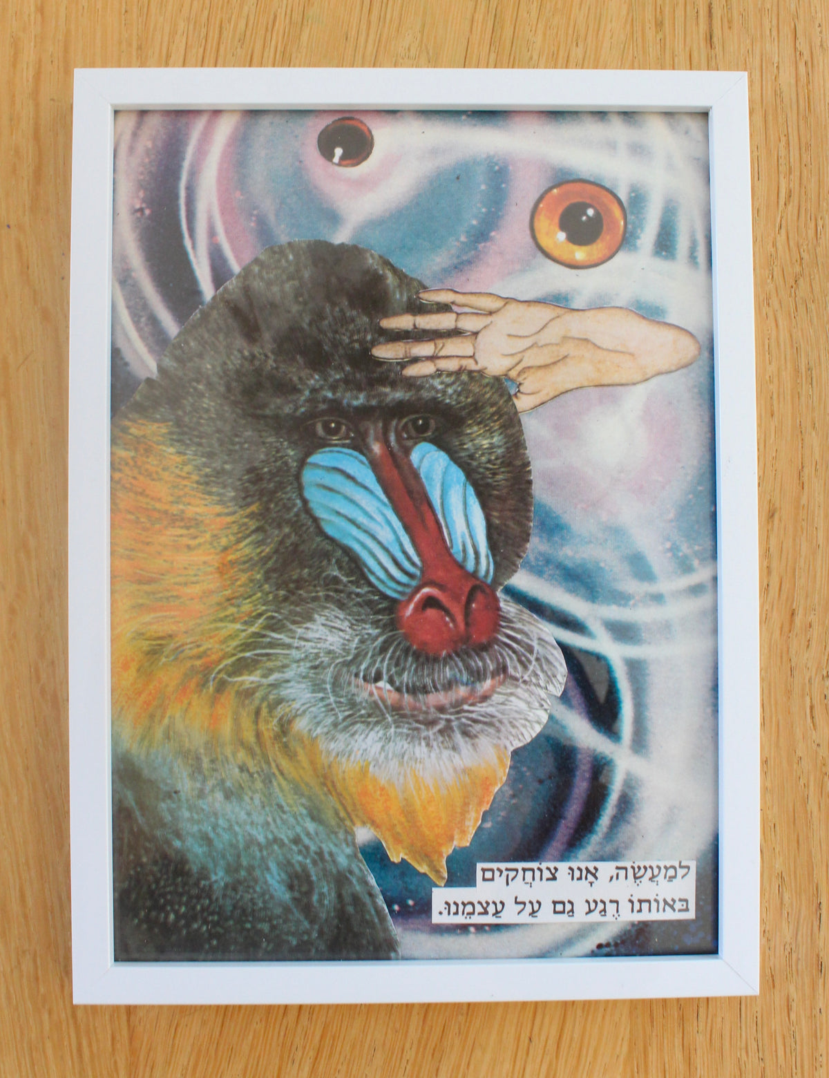 mandrill #2