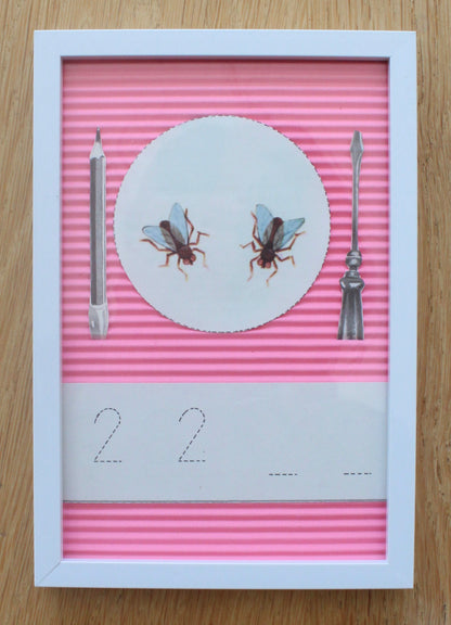 two flies