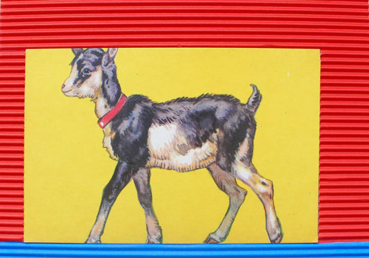 animals (little kid): קולאז' בעבודת יד