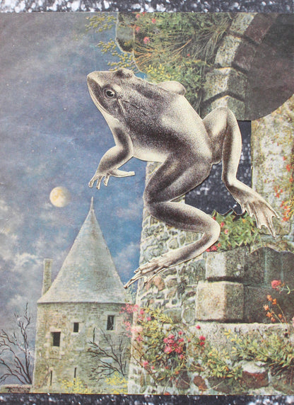 frog #1: קולאז' בעבודת יד