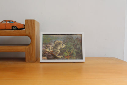 frog #2