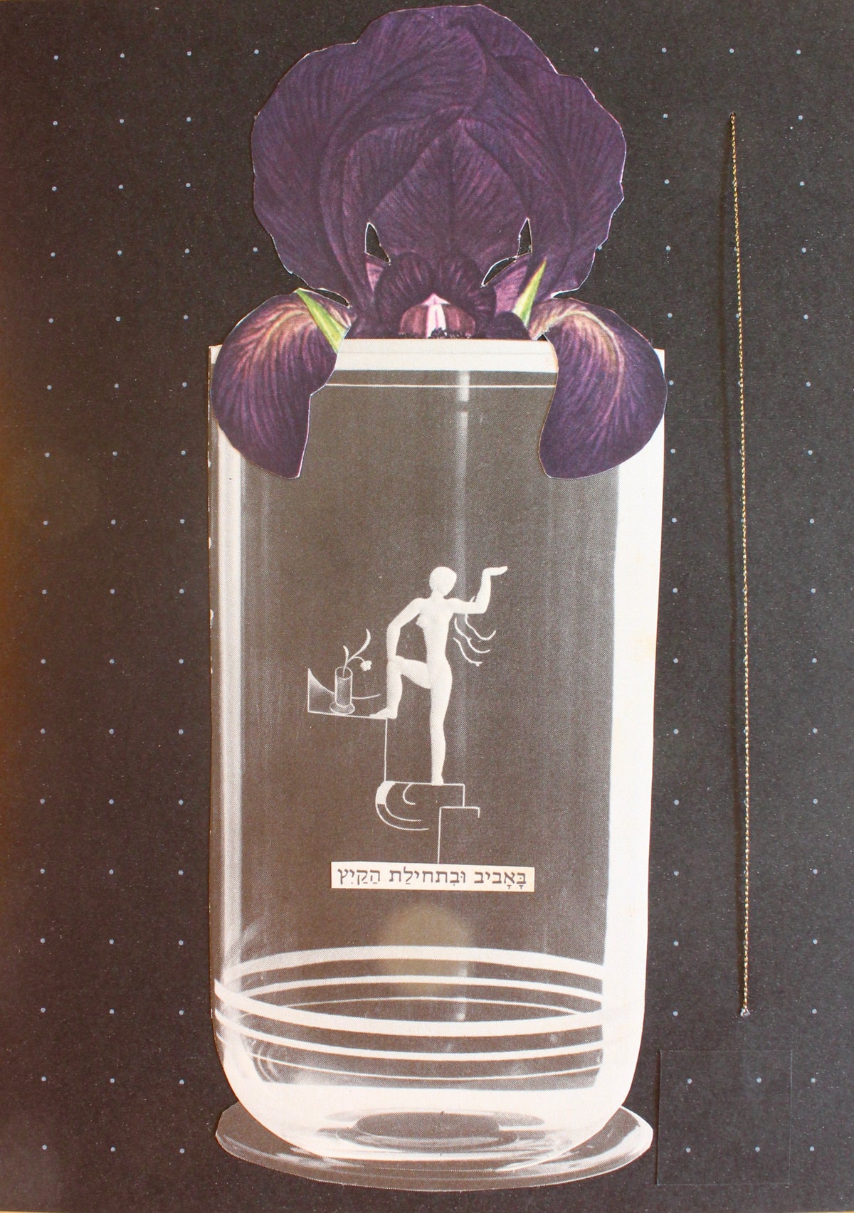 iris #2: קולאז' בעבודת יד