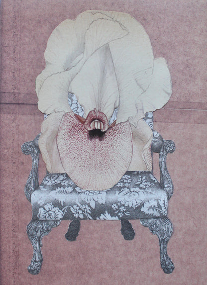 iris #4