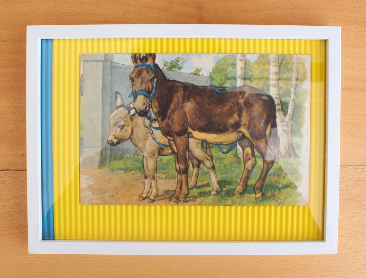 animals (donkeys)