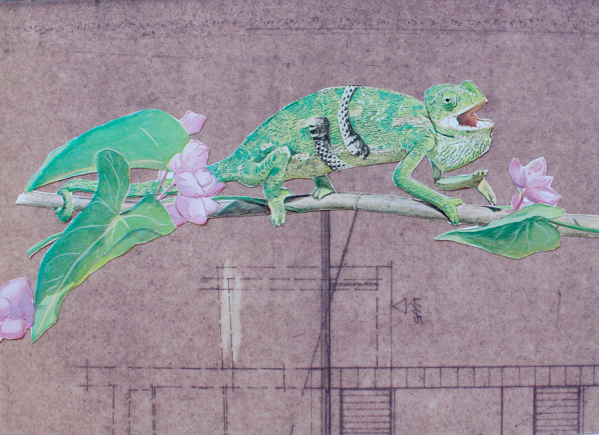 green chameleon: קולאז' בעבודת יד
