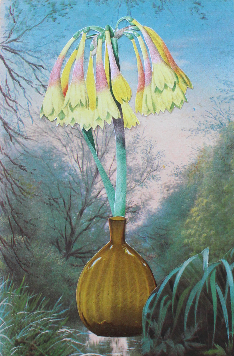 vase #3: קולאז' בעבודת יד
